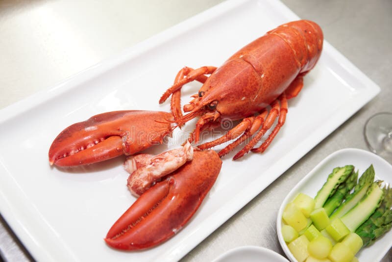 Lobster on plate stock photo. Image of food, delicatessen 17033000