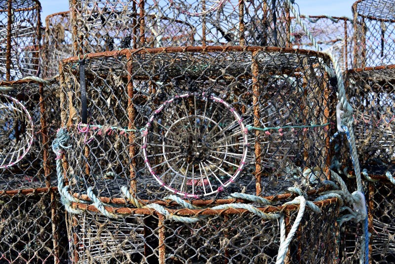 Lobster Pot in French Brittany Stock Image Image of harbor, knot