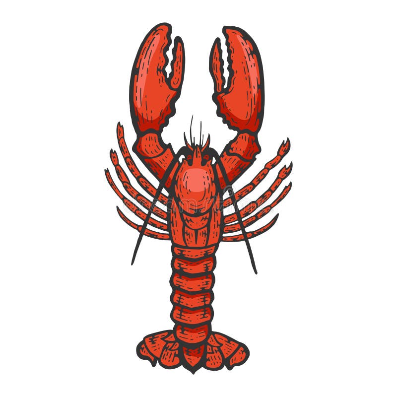 Sea lobster icon outline style Stock Vector Image  Art  Alamy