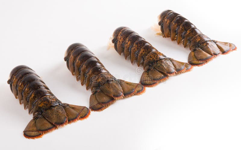 Lobster tails stock photo. Image of food, line, cuisine - 48386950