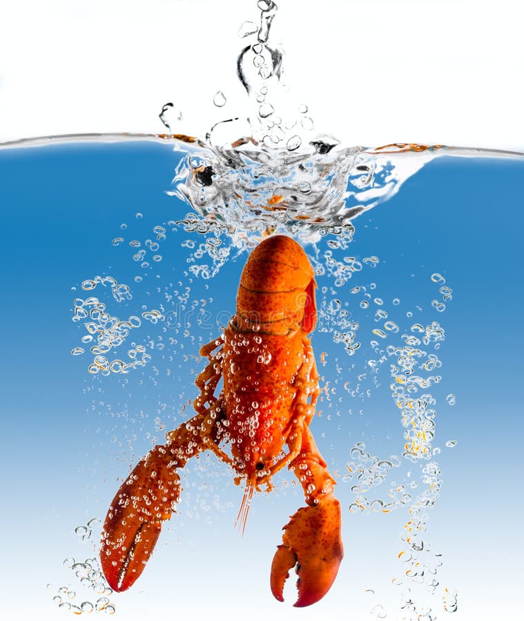 The lobster in water stock image. Image of motion, lobster 7692165