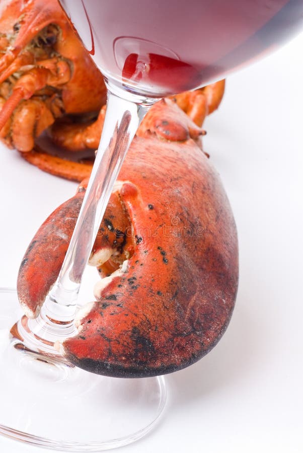 Lobster and Wine stock photo. Image of macro, state, meal 9859580
