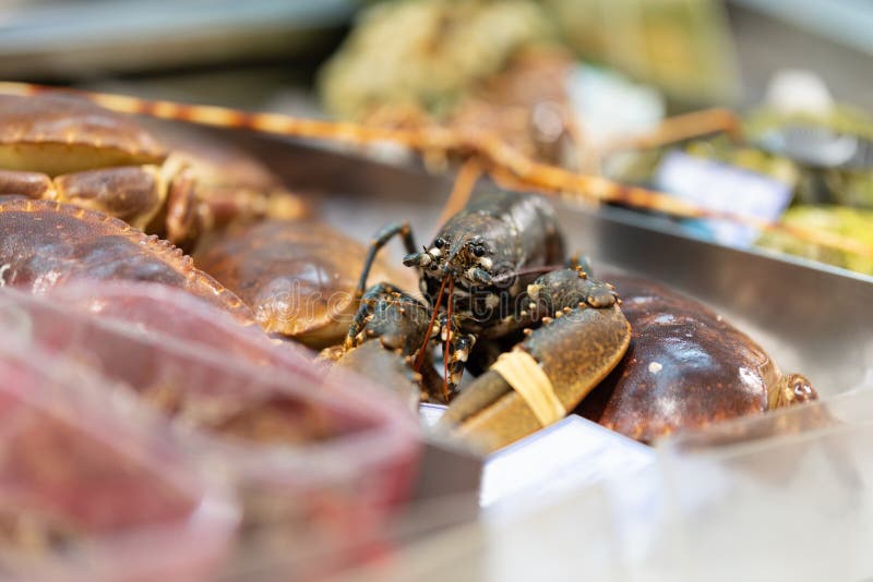 Lobsters and Crabs are Sold on the Market Stock Photo Image of