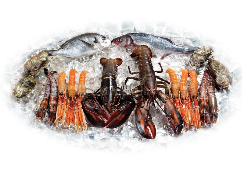 Lobsters and fish stock photo. Image of marine, luxury 1588666