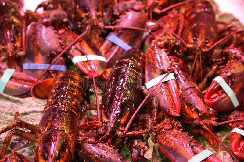 Lobsters on foodmarket stock photo. Image of elegance 11652530