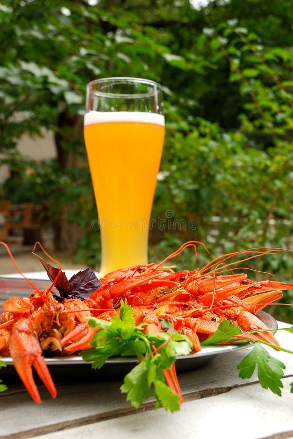 Lobsters and glass of beer stock image. Image of isolated 10722361