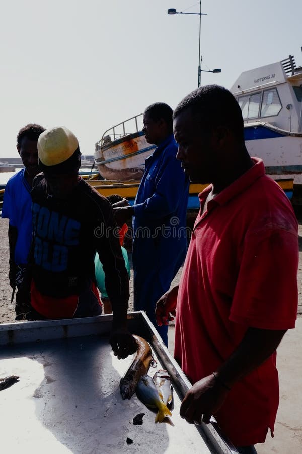 local fisherman bringing in their catch during the morning in the harbor next to the see royalty free stock image local fisherman bringing in their catch during the morning in the harbor next to the see royalty free stock image
