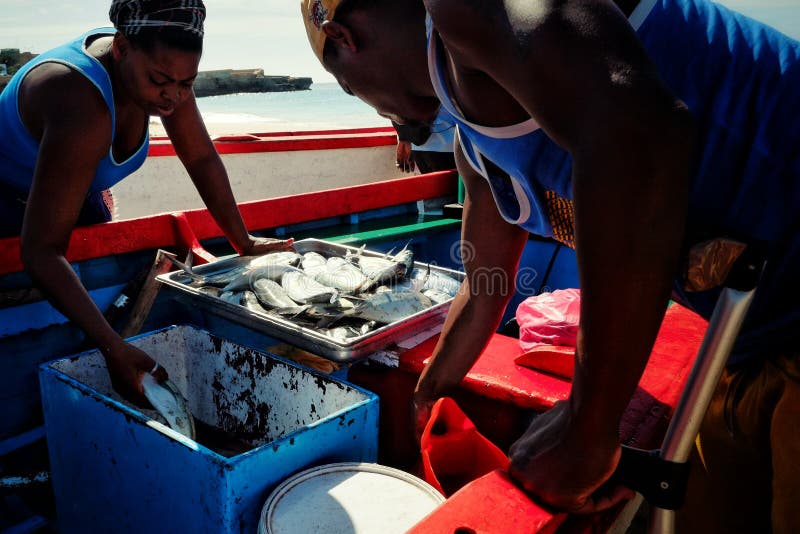 local fisherman offloading his catch while the woman from the market is going forward to check his fish stock photography local fisherman offloading his catch while the woman from the market is going forward to check his fish stock photography