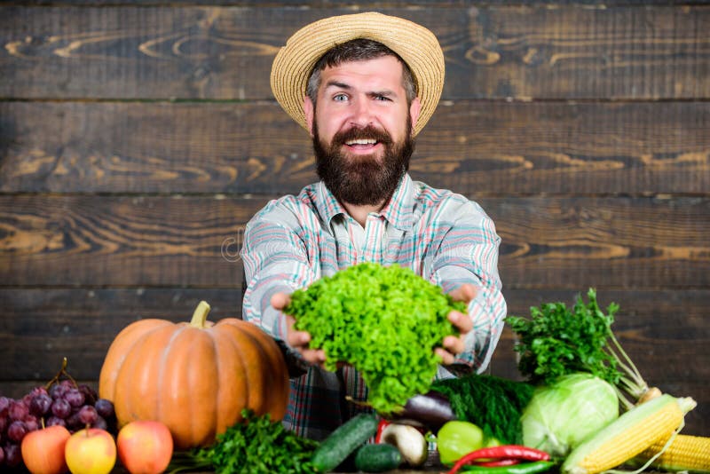 Local market. Locally grown crops concept. Buy vegetables local farm. Typical farmer guy. Farm market harvest festival stock photography Local market. Locally grown crops concept. Buy vegetables local farm. Typical farmer guy. Farm market harvest festival stock photography
