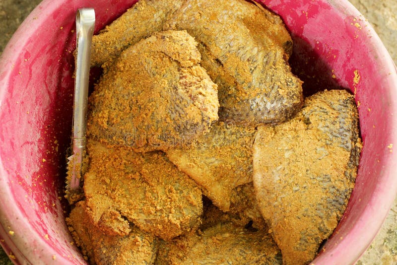 Local thai pickled fish stock image. Image of fish, traditional 99274253