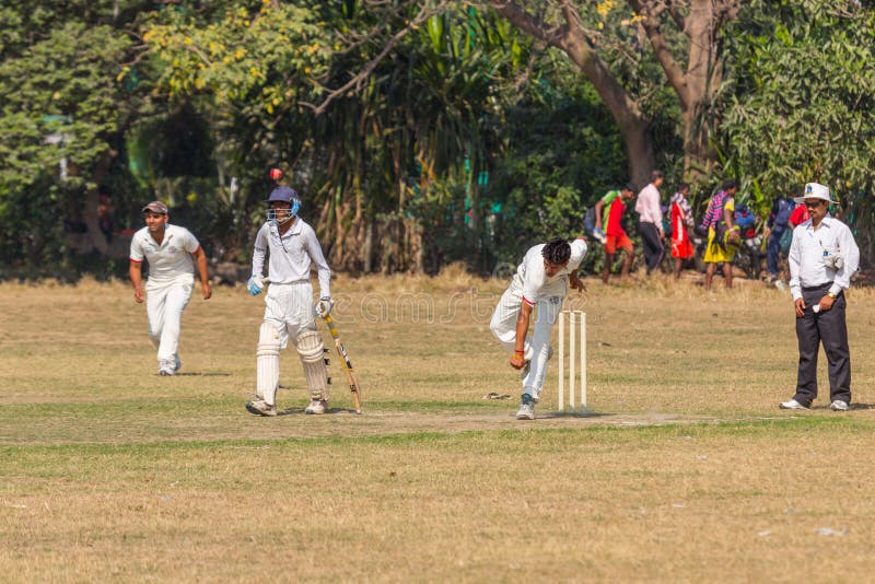 Locals Play Cricket in the Park Editorial Image Image of pads