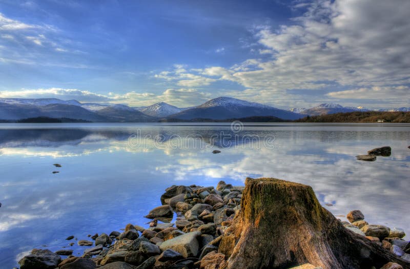 The end of a wonderful day out around theTrossachs we found this old stump on the shores of Loch Lomond, at Milarrochy Bay. The end of a wonderful day out around theTrossachs we found this old stump on the shores of Loch Lomond, at Milarrochy Bay.