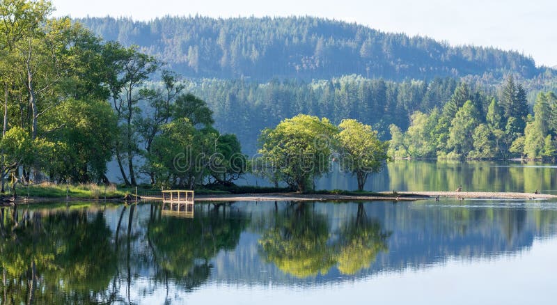 Loch View, Highlands of Scotland, UK. the Trees Overlooking the Loch ...