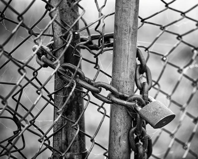 A padlocked chain link fence in black and white. A padlocked chain link fence in black and white.