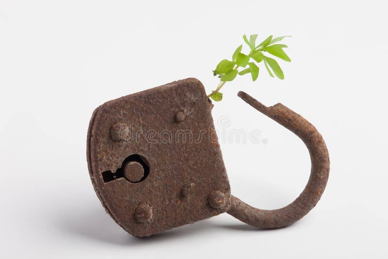 A plant is growing out of a lock. Regenerate stock images, royalty-free photos and pictures