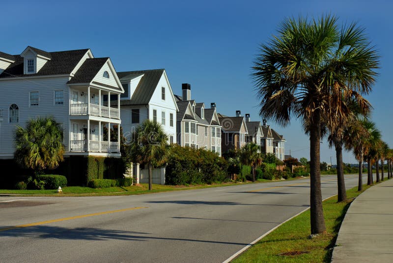 Lockwood Drive stock photo. Image of drive, palm, home 1308422