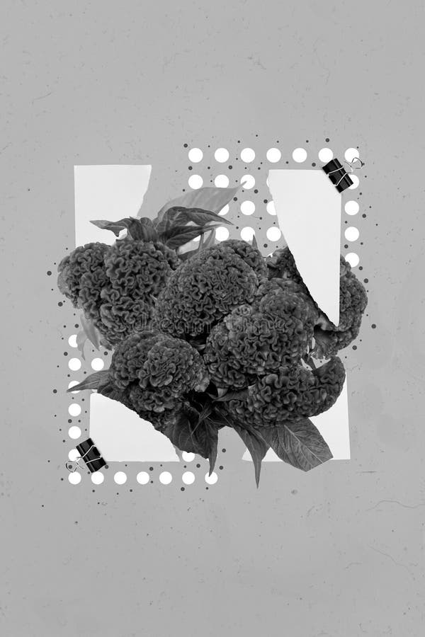 Lodrät kollage-bild av en torn papperslista bouquet färska blommor isolerade på kreativ målad bakgrund arkivfoton