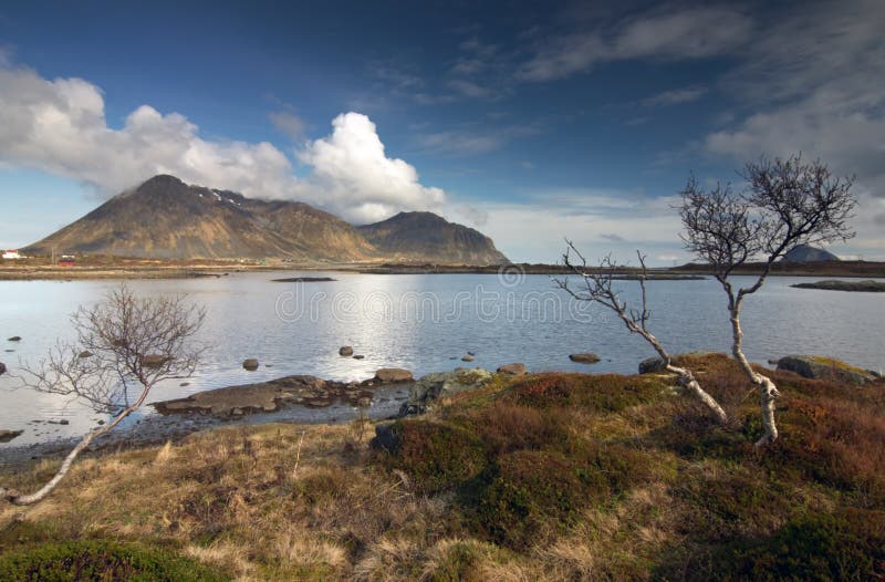 Lofoten