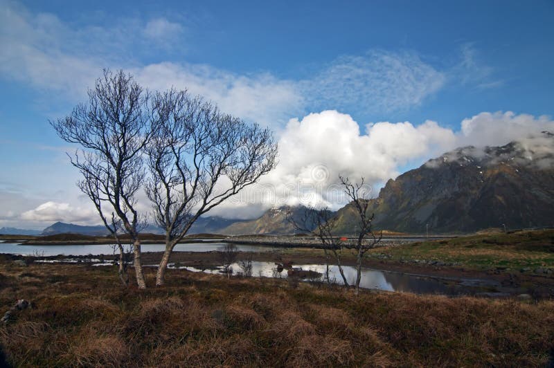 Lofoten