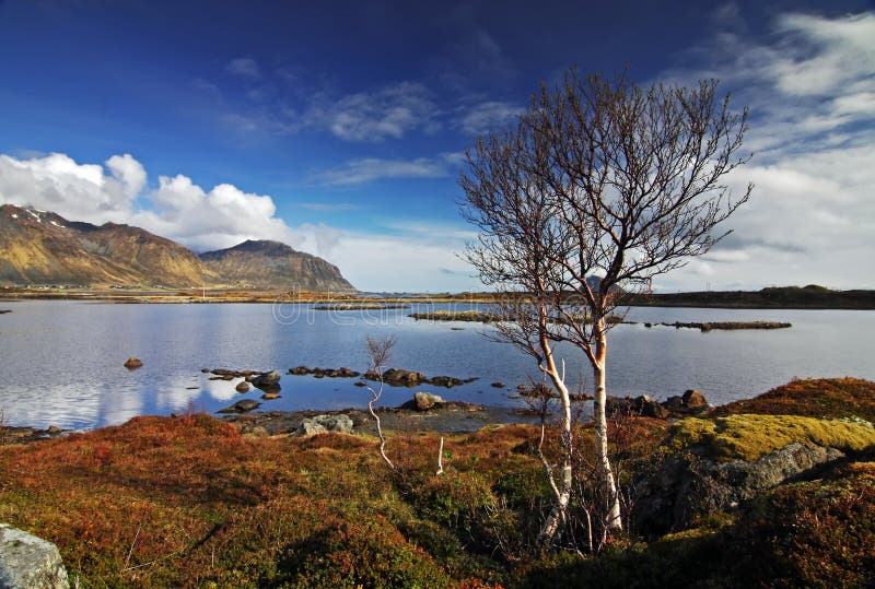 Lofoten