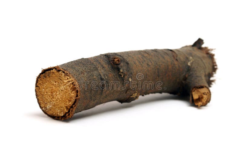 An isolated wooden log for burning in a fire. Roughness stock images, royalty-free photos and pictures