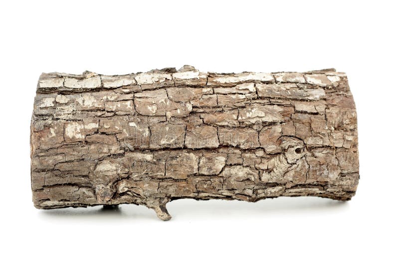 Log. Brown log, isolated on white Log. Brown log, isolated on white
