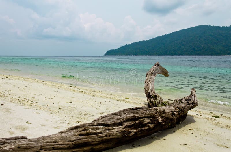 Log on a beautiful tropical beach