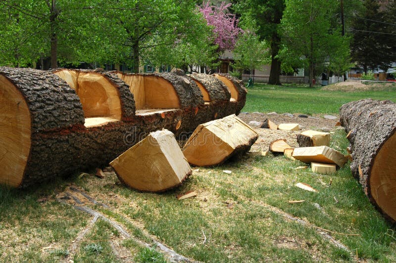 Log Bench stock photo. Image of seat, arean, fallen ...