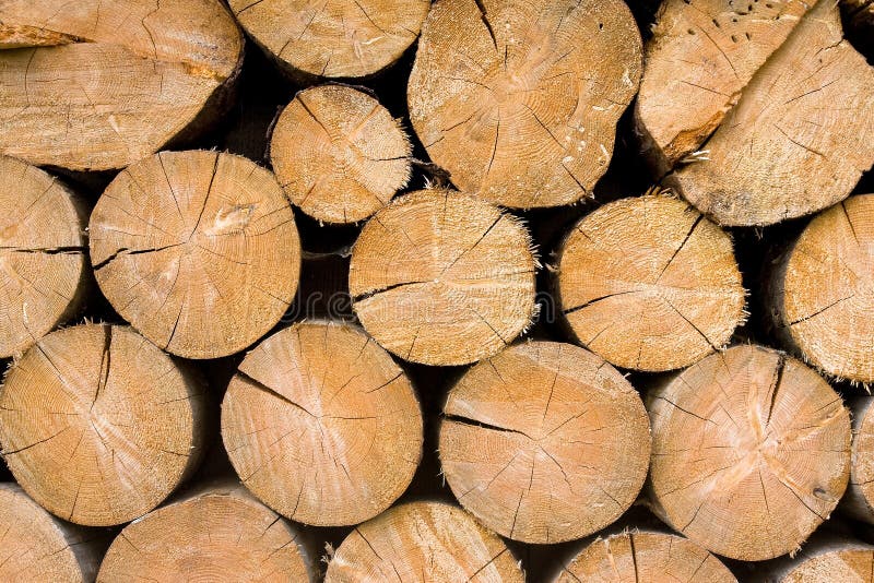 Log pile Stock Photos, Royalty Free Log pile Images