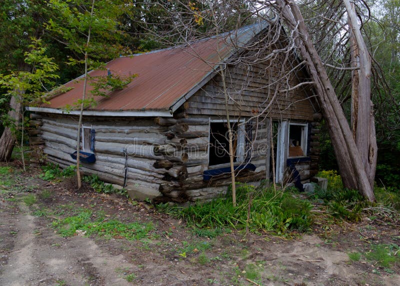 Log shack in woods