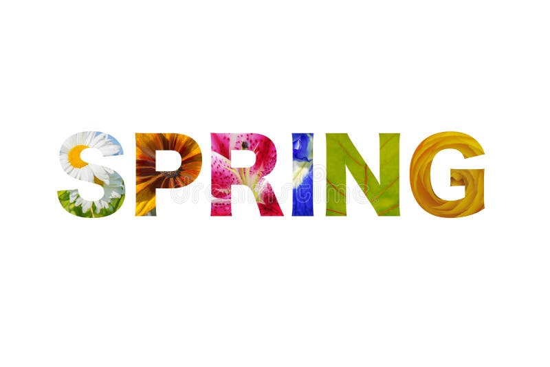 Loga literowania wiosny słowo - odizolowywający nad bielem