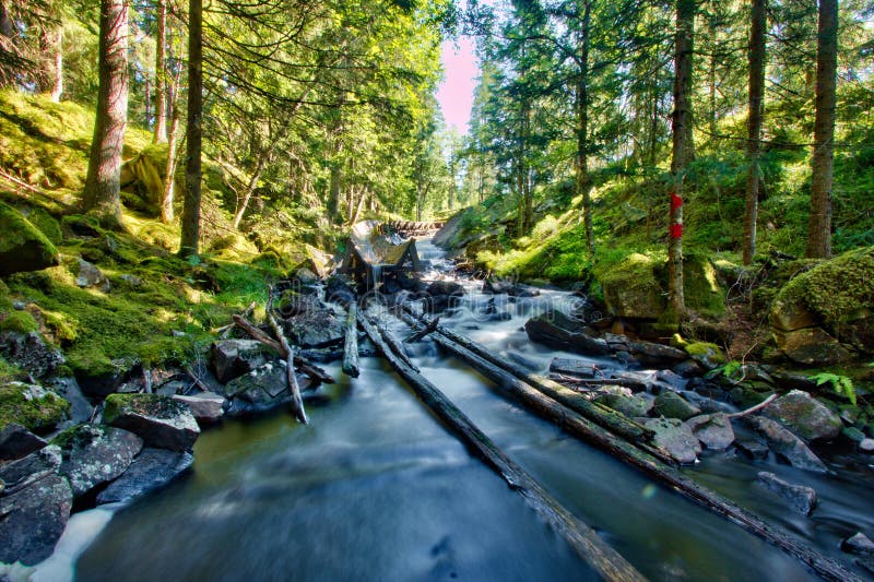 Houttransportinstallatie en rivier royalty-vrije stock afbeelding