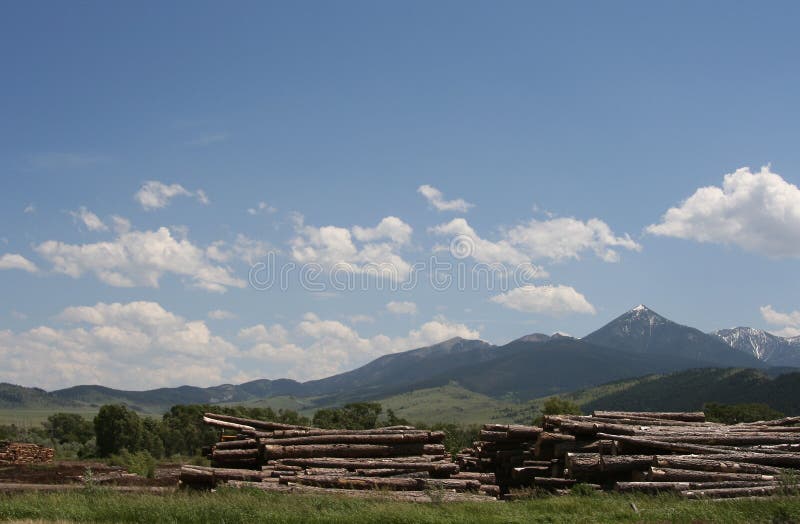 Logging in Elgin Oregon stock photo. Image of blue, mountain 10737796