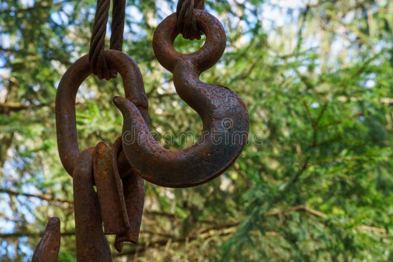 Logging Equipment in the Forest, Loading Logs for Transportation