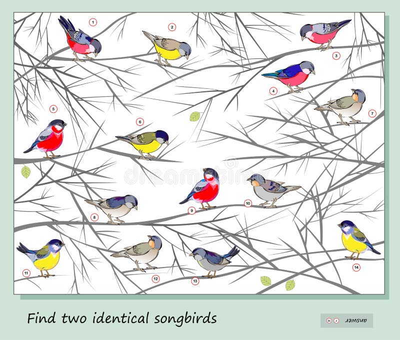 Logic puzzle game for children and adults. Find two identical songbirds. Page for kids brain teaser book. Memory exercises for