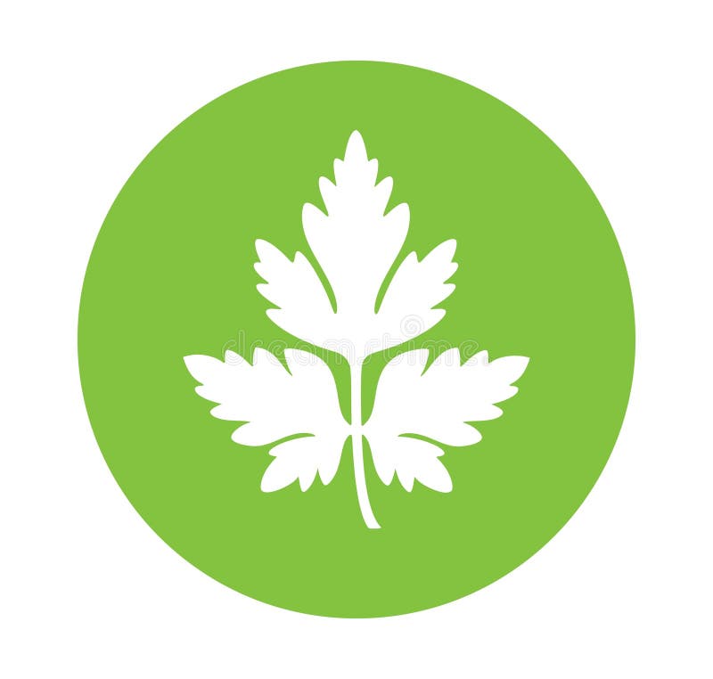 Parsley logo. Isolated parsley on white background. Vector eps. Parsley logo. Isolated parsley on white background. Vector eps