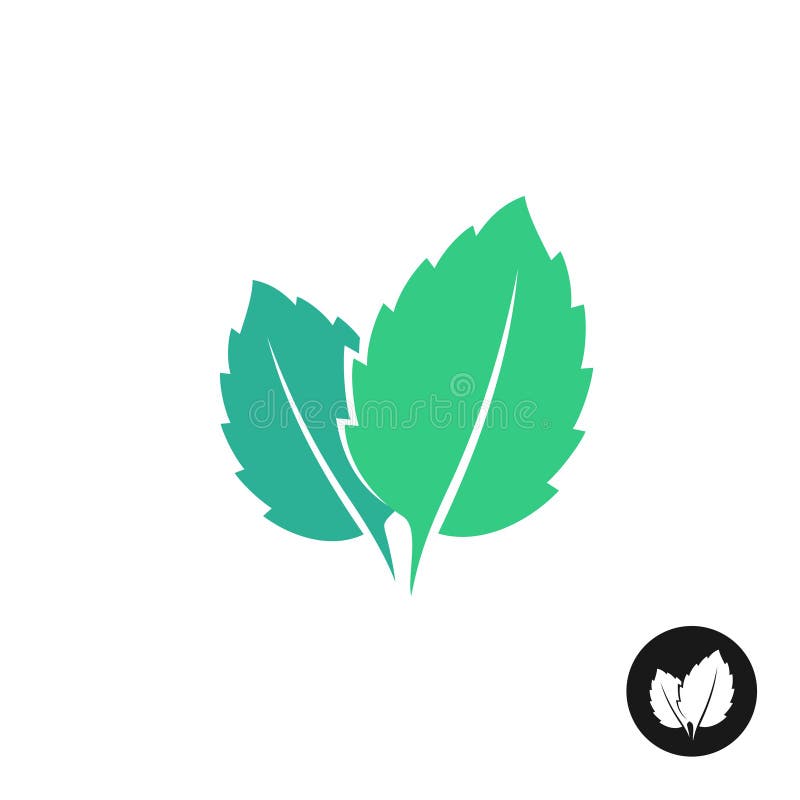 Logo di vettore delle foglie di menta Due foglie di una menta