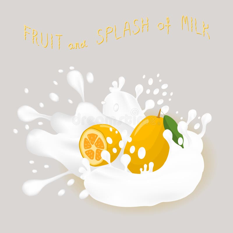 Logo för vektorsymbolsillustration för mogen exotisk fruktgulingkumquat royaltyfri illustrationer Logo för vektorsymbolsillustration för mogen exotisk fruktgulingkumquat royaltyfri illustrationer