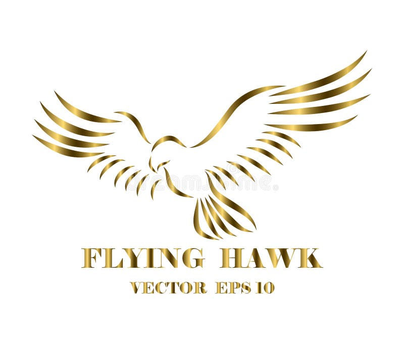 Golden Hawk Stock Illustrations 953 Golden Hawk Stock Illustrations Vectors Clipart Dreamstime