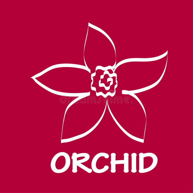 Logo Orchid Design vector illustration vector illustration Logo Orchid Design vector illustration vector illustration