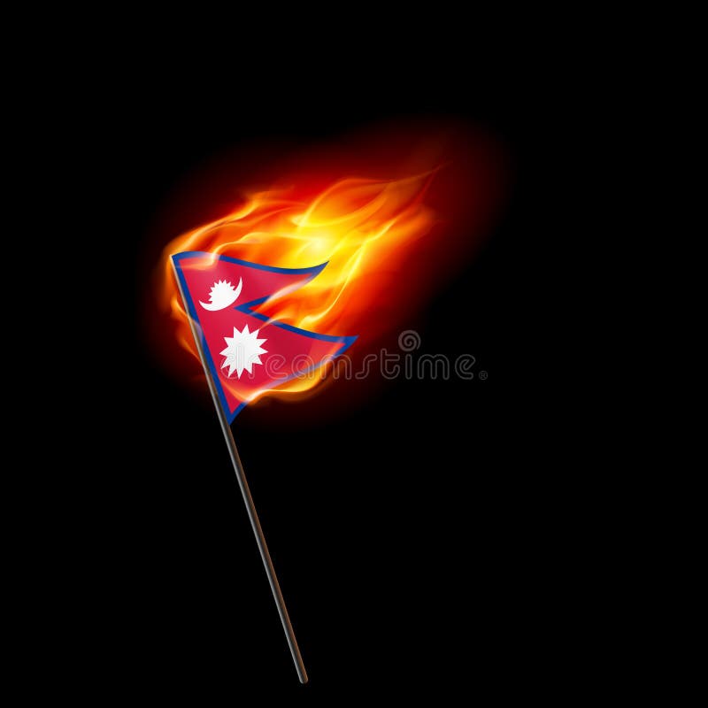 Logo Patriot vector illustratie