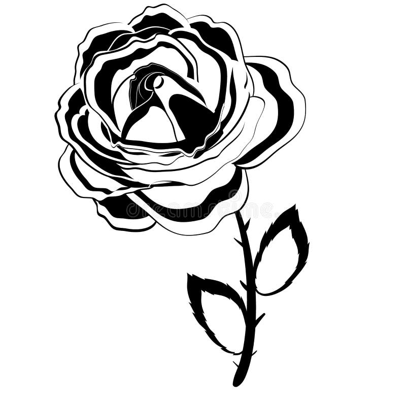 Logo, Stylized Rose Flower in Black Color, Isolated Object on White ...