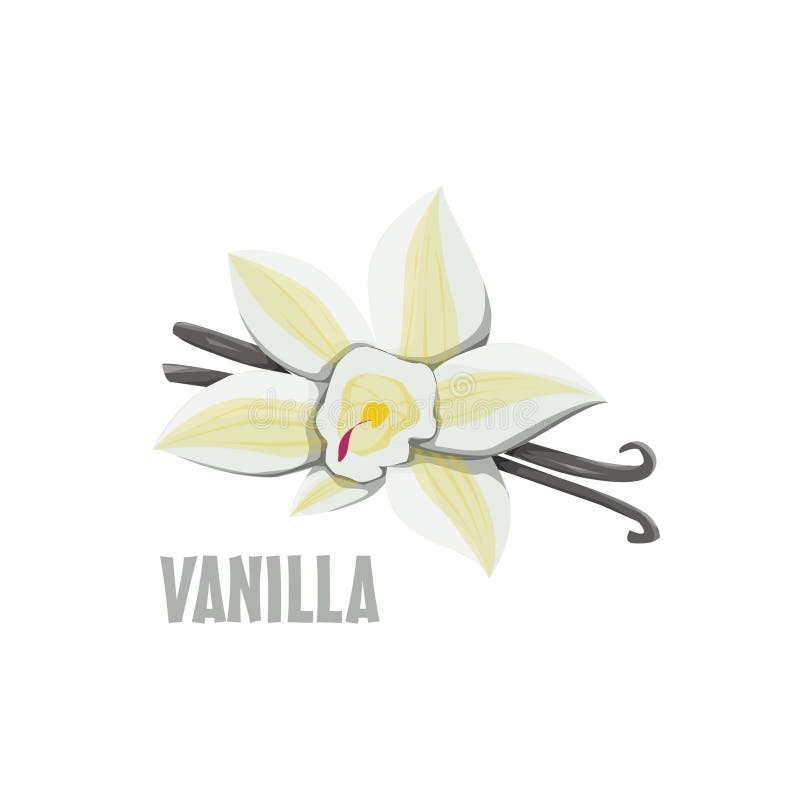 Vanilla Bean Logo Stock Illustrations 224 Vanilla Bean Logo Stock Illustrations, Vectors