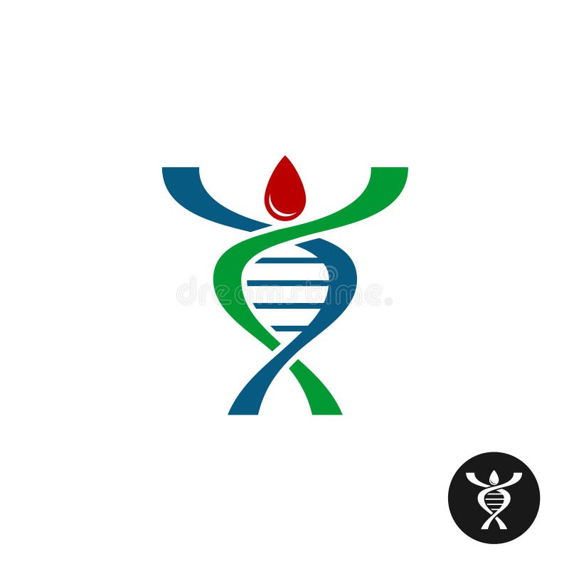 Logotipo dado forma espiral da silhueta do homem do ADN ilustração do vetor Logotipo dado forma espiral da silhueta do homem do ADN ilustração do vetor