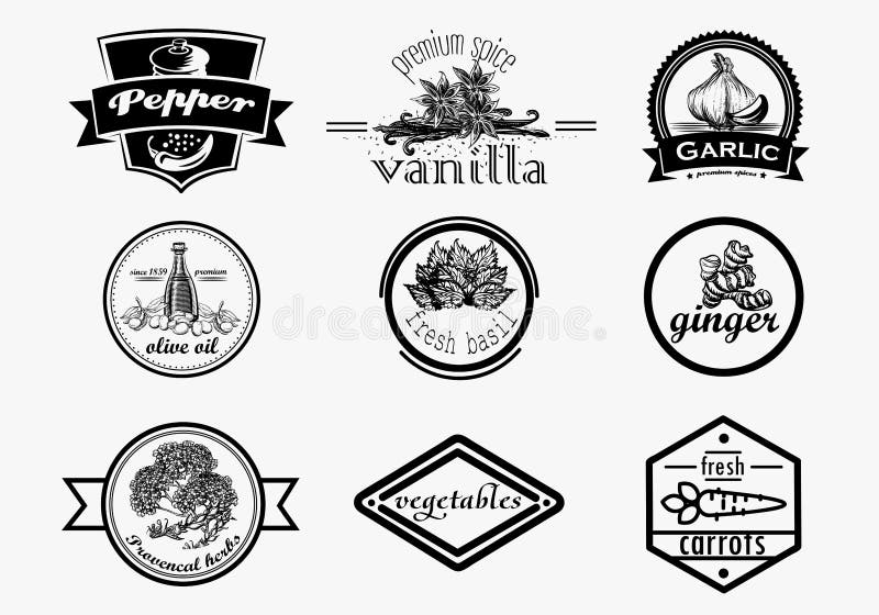 Logotipo de la especia fijado en estilo del vintage Mano del vector dibujada libre illustration Logotipo de la especia fijado en estilo del vintage Mano del vector dibujada libre illustration