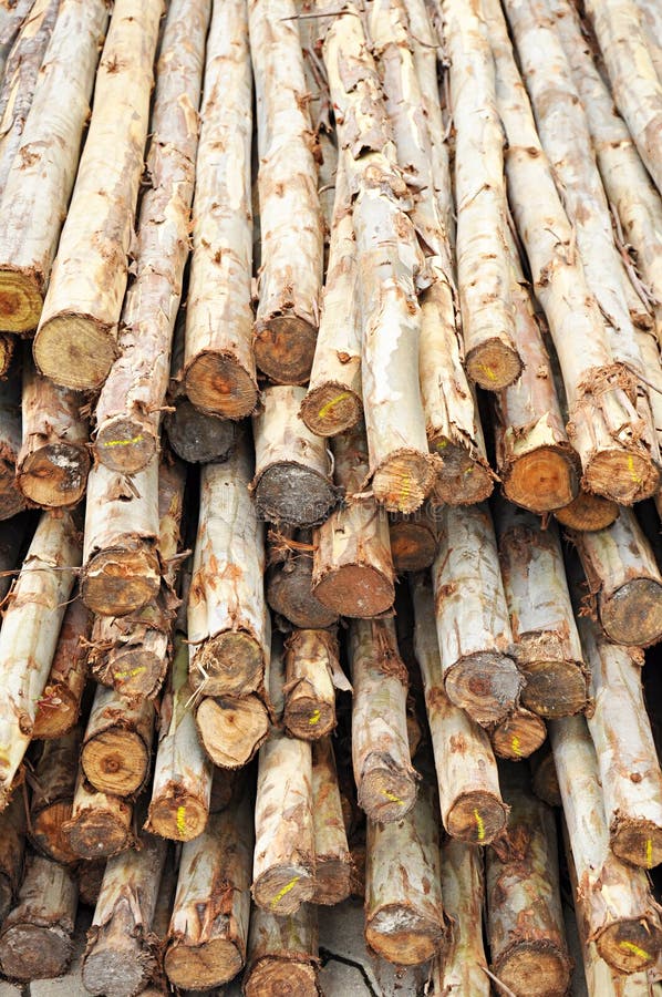 Logs royalty free stock photos Logs royalty free stock photos