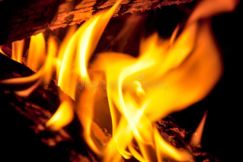 Logs burning in an outdoor campfire royalty free stock images