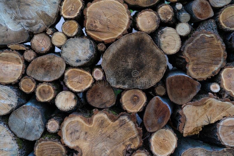 Logs Lie on Top of Each Other in Large Numbers Stock Image Image of