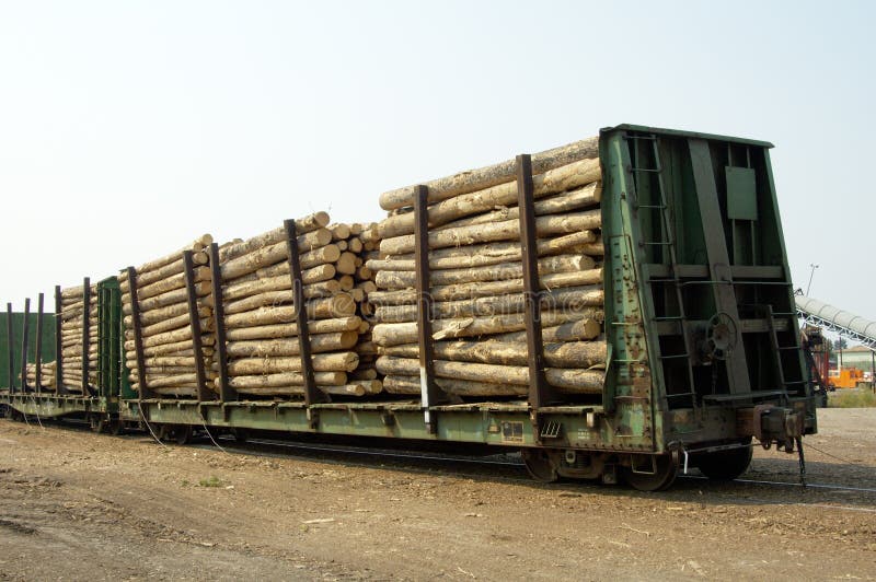 Logs in Transit 1