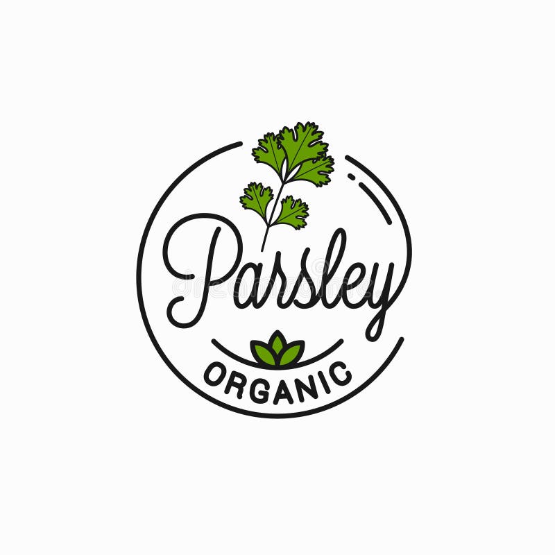 Parsley branch logo. Round linear logo of parsey on white background 8 eps. Parsley branch logo. Round linear logo of parsey on white background 8 eps